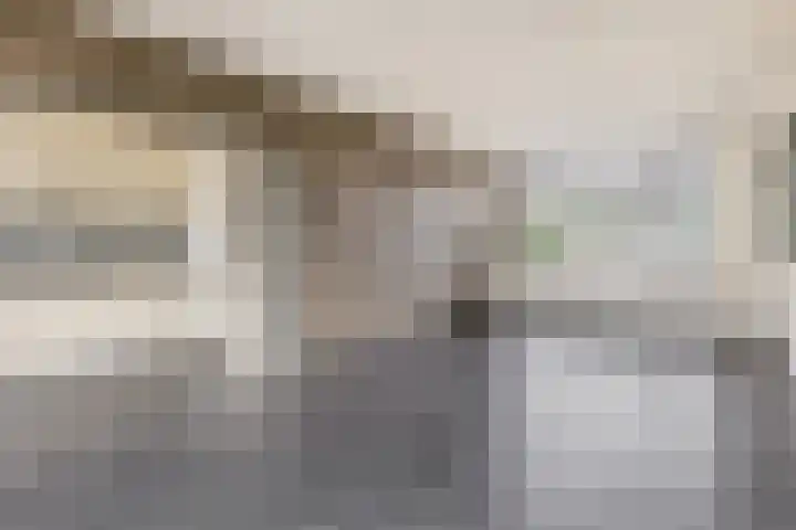 Van Broekhuisenstraat 6 Ammerzoden thumbnail 11