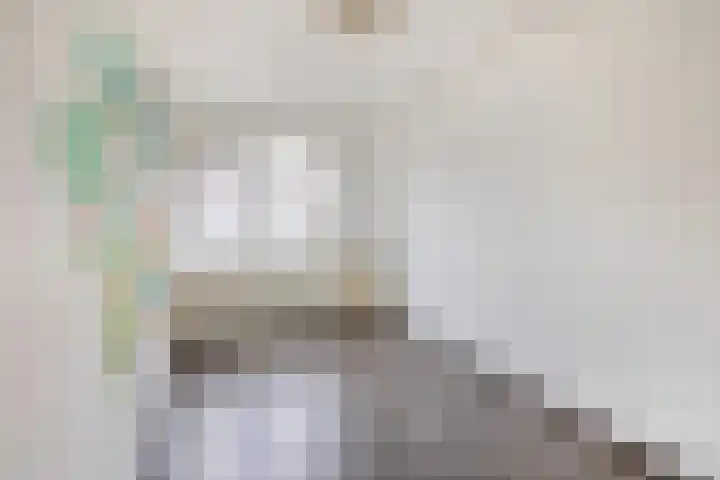 Van Broekhuisenstraat 6 Ammerzoden thumbnail 18