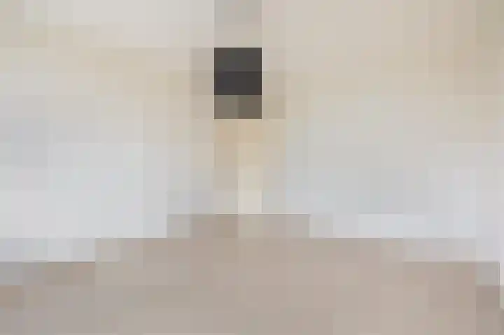 Van Broekhuisenstraat 6 Ammerzoden thumbnail 20