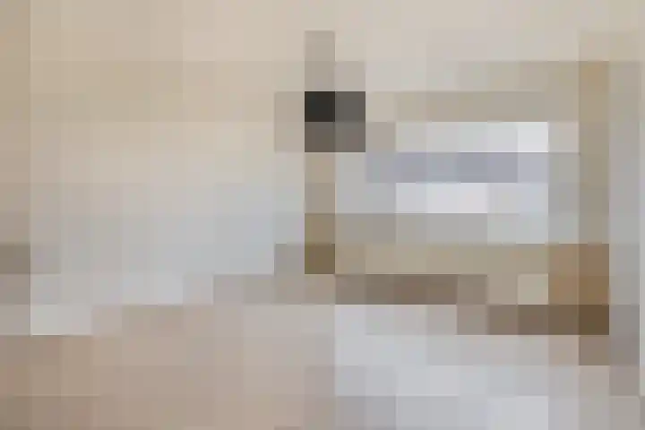 Van Broekhuisenstraat 6 Ammerzoden thumbnail 21
