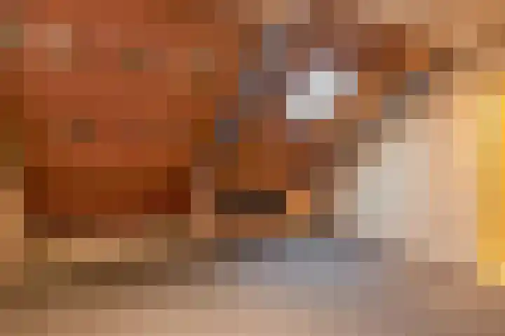 Van Broekhuisenstraat 6 Ammerzoden thumbnail 28