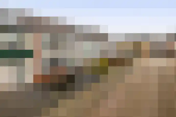 Van Broekhuisenstraat 6 Ammerzoden thumbnail 34