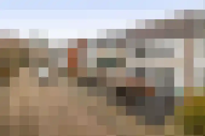 Van Broekhuisenstraat 6 Ammerzoden thumbnail 35