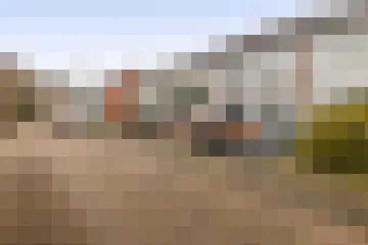 Van Broekhuisenstraat 6 Ammerzoden thumbnail 36