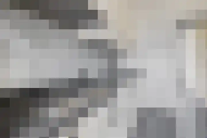 Van Broekhuisenstraat 6 Ammerzoden thumbnail 9