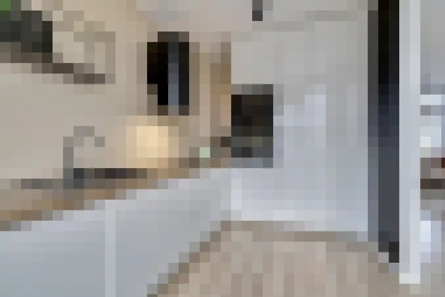 Van Broekhuisenstraat 7 Ammerzoden thumbnail 12