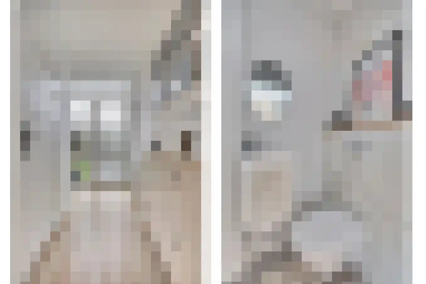 Van Broekhuisenstraat 7 Ammerzoden thumbnail 14