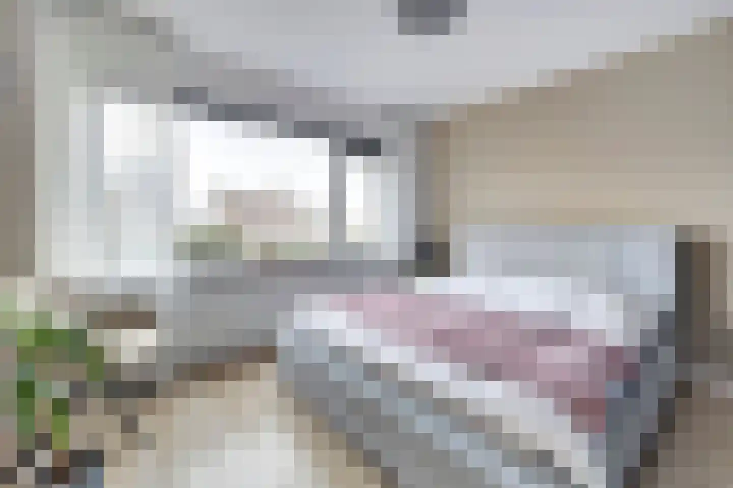 Van Broekhuisenstraat 7 Ammerzoden thumbnail 18