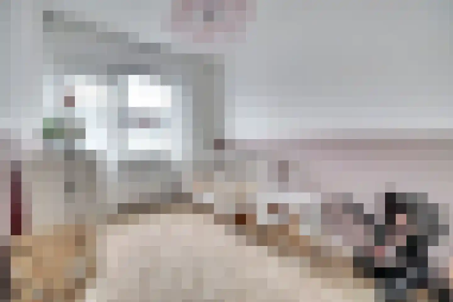 Van Broekhuisenstraat 7 Ammerzoden thumbnail 20