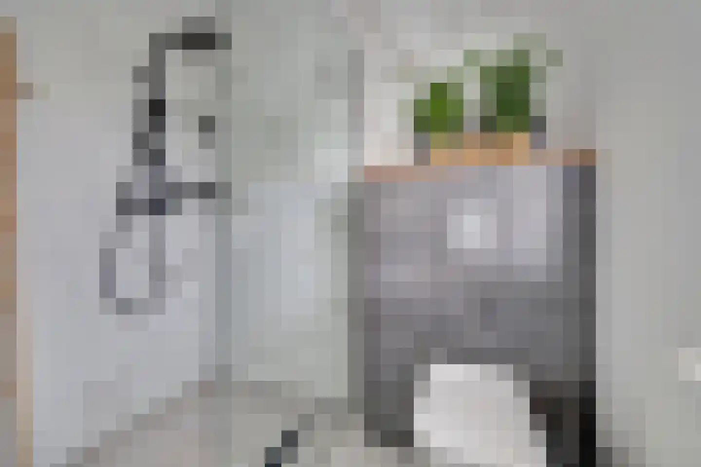 Van Broekhuisenstraat 7 Ammerzoden thumbnail 24
