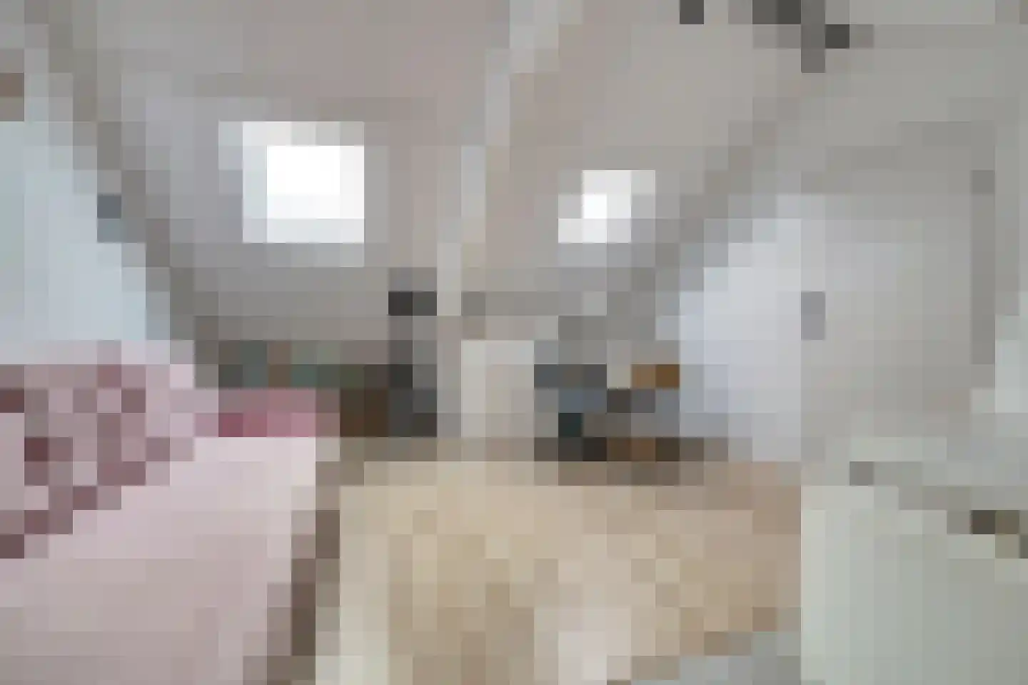 Van Broekhuisenstraat 7 Ammerzoden thumbnail 27