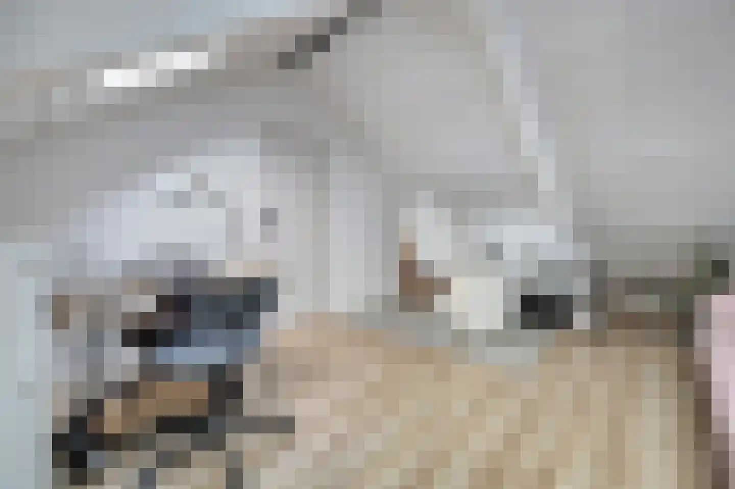 Van Broekhuisenstraat 7 Ammerzoden thumbnail 28