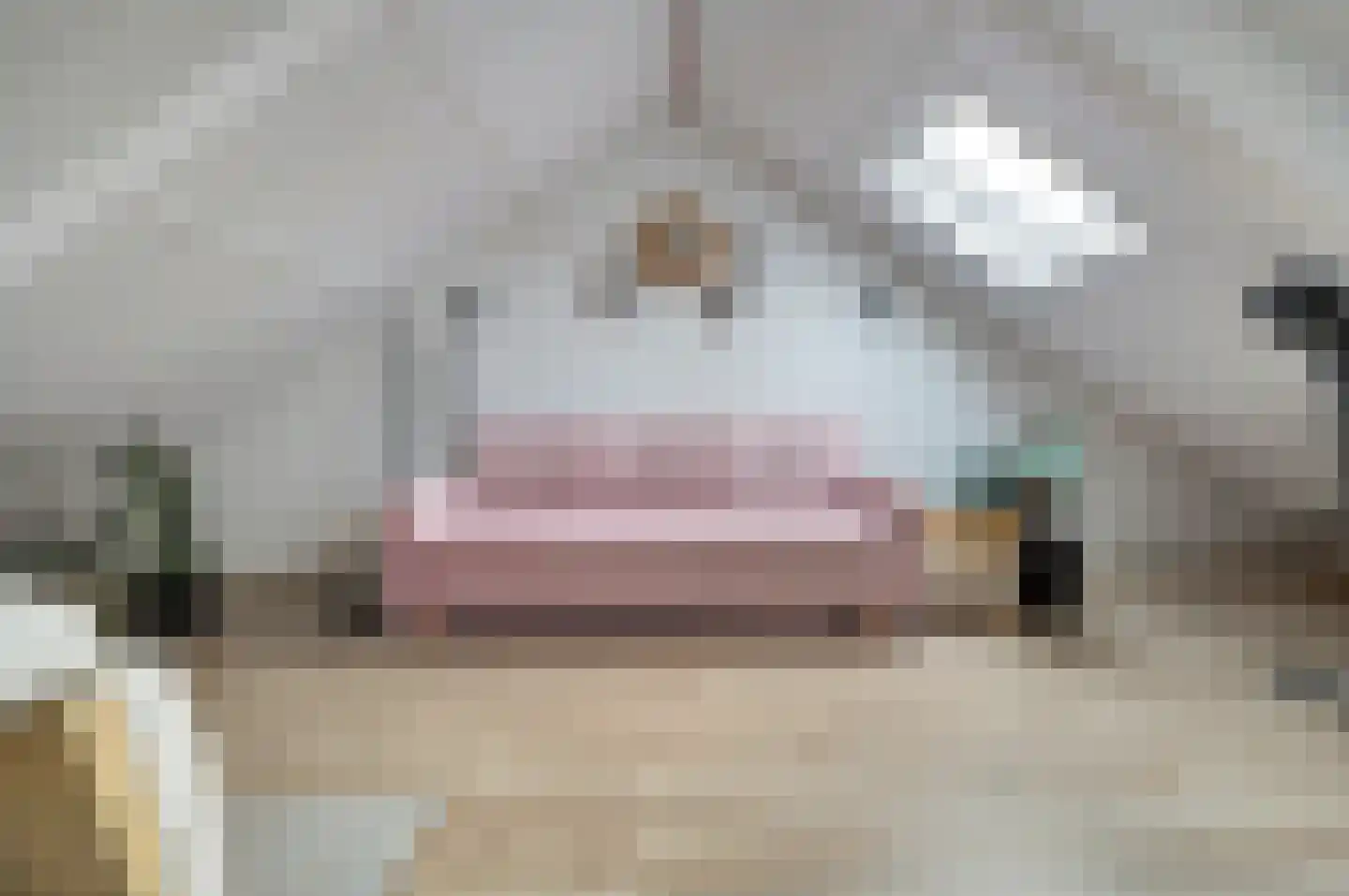 Van Broekhuisenstraat 7 Ammerzoden thumbnail 29