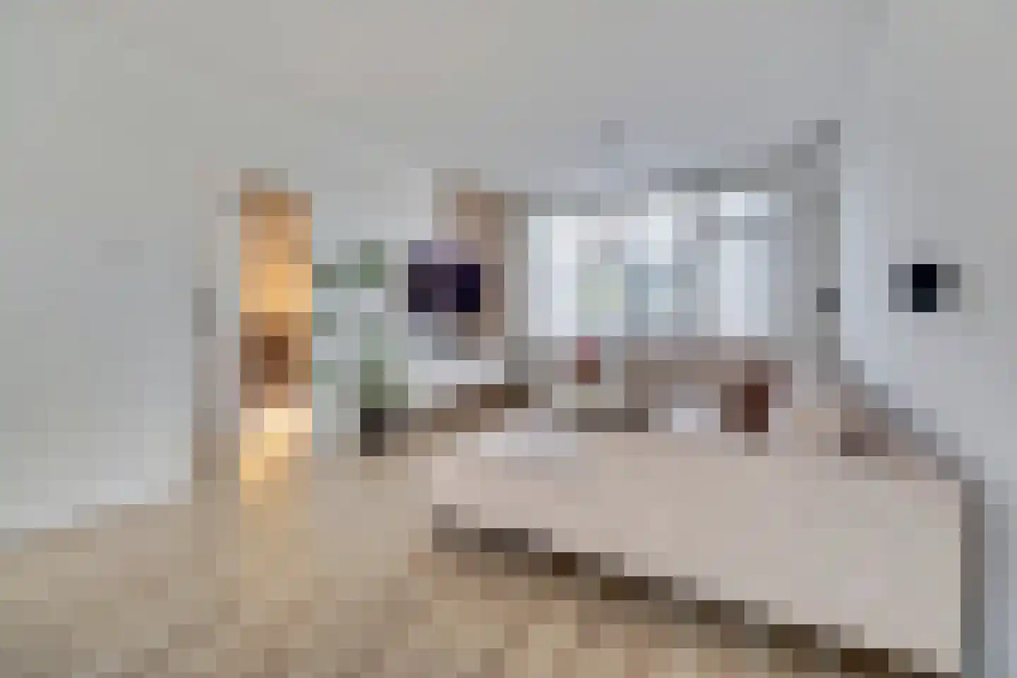 Van Broekhuisenstraat 7 Ammerzoden thumbnail 4