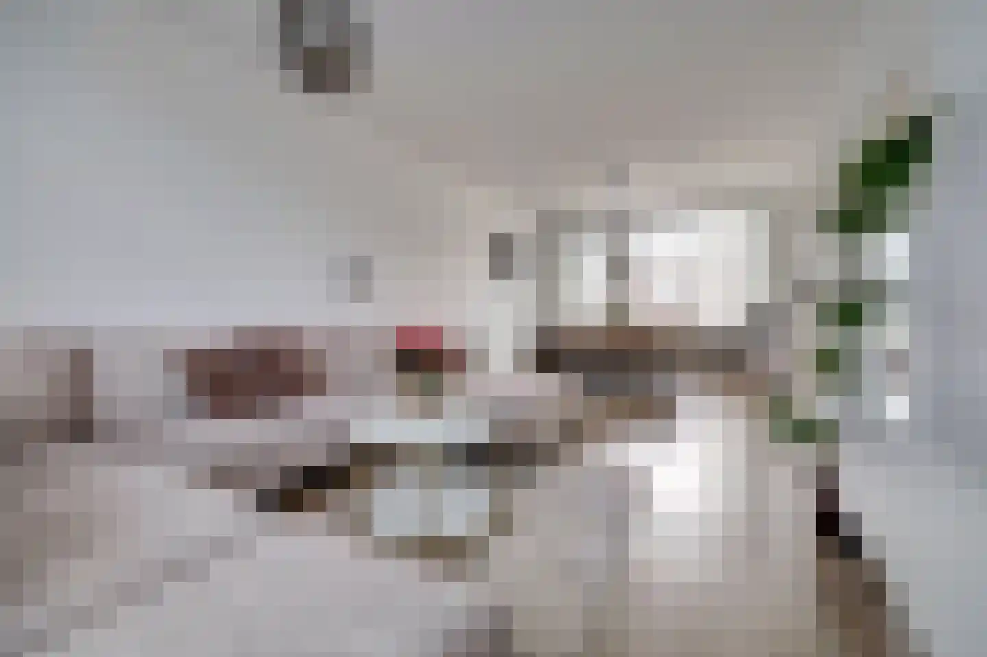 Van Broekhuisenstraat 7 Ammerzoden thumbnail 5
