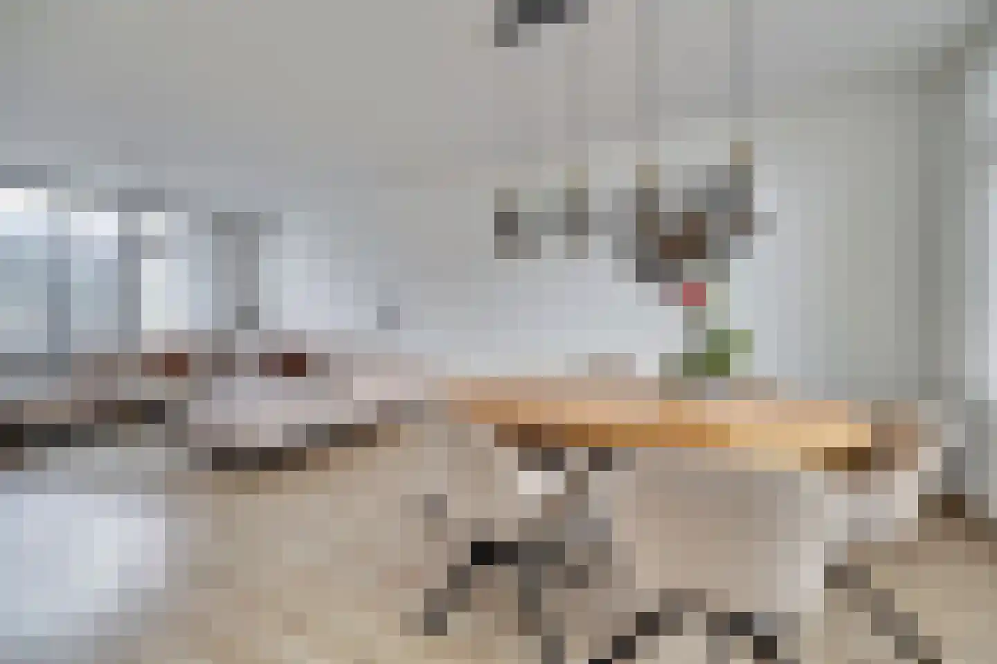Van Broekhuisenstraat 7 Ammerzoden thumbnail 7
