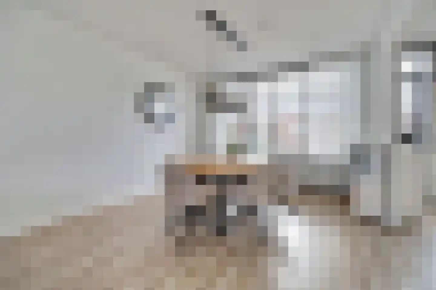 Van Broekhuisenstraat 7 Ammerzoden thumbnail 8