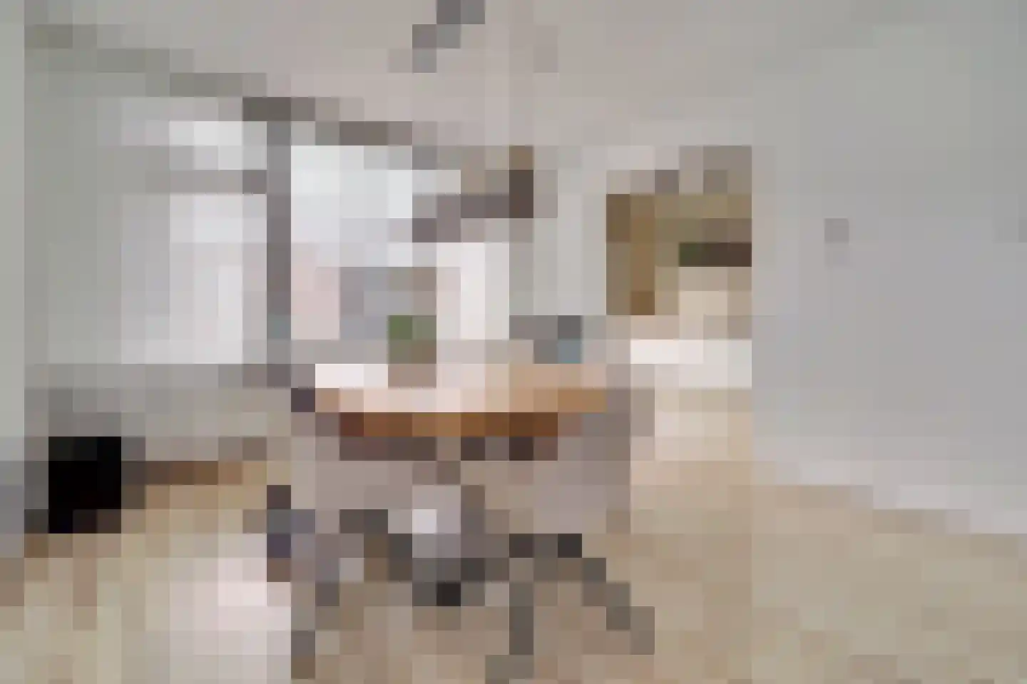 Van Broekhuisenstraat 7 Ammerzoden thumbnail 9