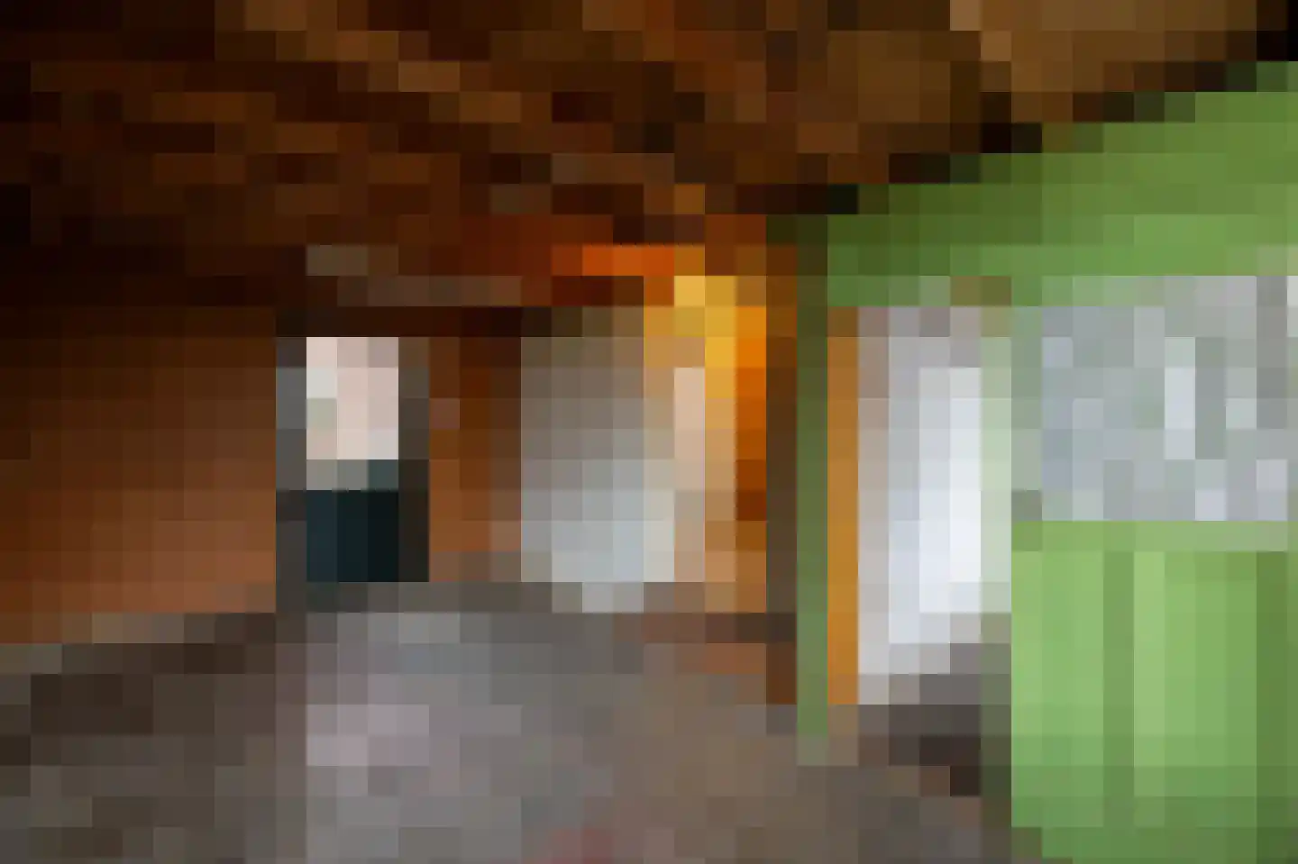 van Broekhuizenstraat 7 Oostrum thumbnail 19