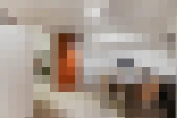 Van Broekhuyzenstraat 15 Otterlo thumbnail 18