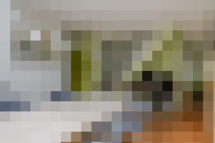 Van Bronckhorstdreef 41 Nijmegen thumbnail 10