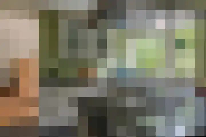 Van Bronckhorstdreef 41 Nijmegen thumbnail 14
