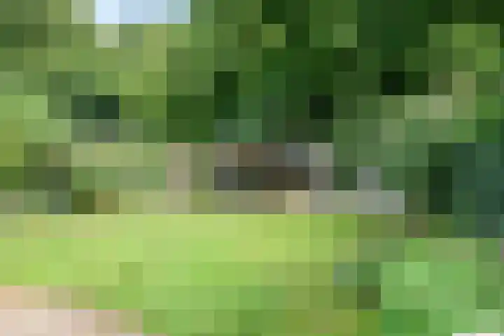 Van Bronckhorstdreef 41 Nijmegen thumbnail 36