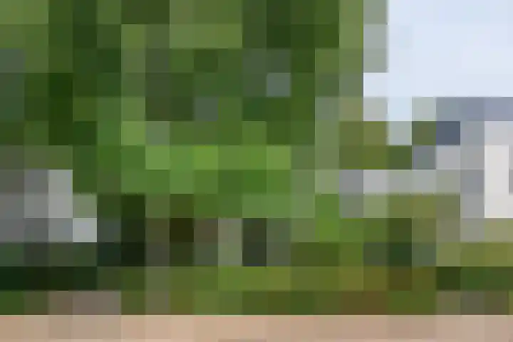 Van Bronckhorstdreef 41 Nijmegen thumbnail 37