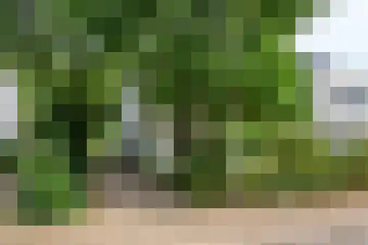 Van Bronckhorstdreef 41 Nijmegen thumbnail 38