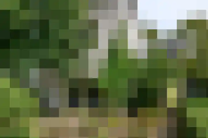 Van Bronckhorstdreef 41 Nijmegen thumbnail 4