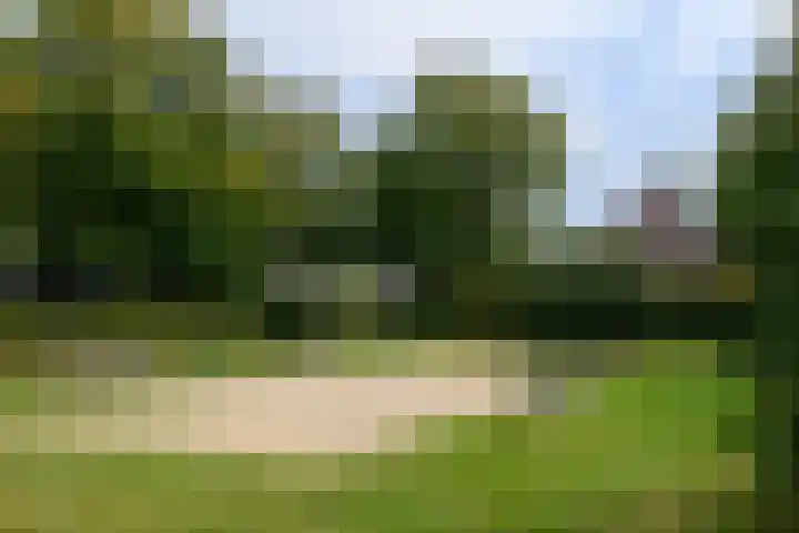 Van Bronckhorstdreef 41 Nijmegen thumbnail 41