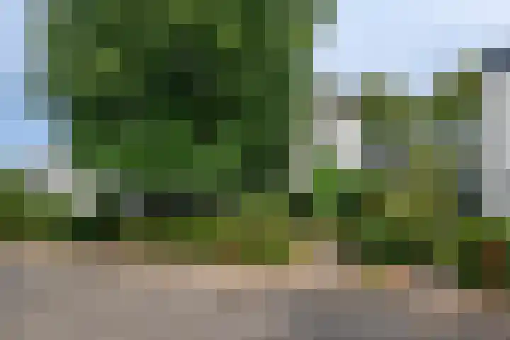 Van Bronckhorstdreef 41 Nijmegen thumbnail 51