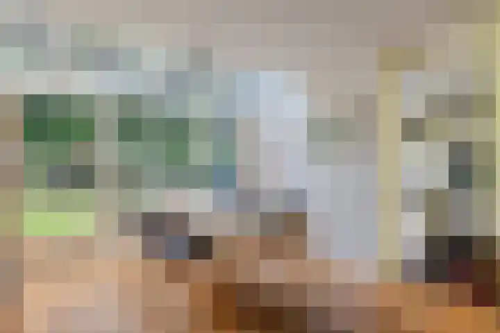 Van Bronckhorstdreef 41 Nijmegen thumbnail 9