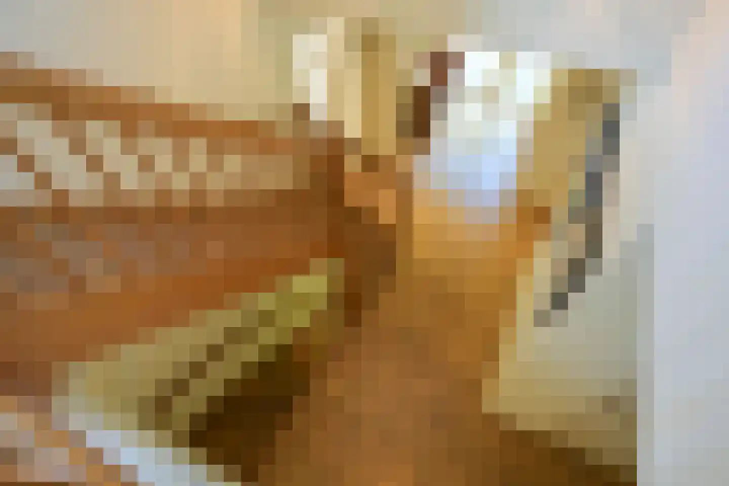 Van Bronckhorstlaan 11 A Wassenaar thumbnail 25