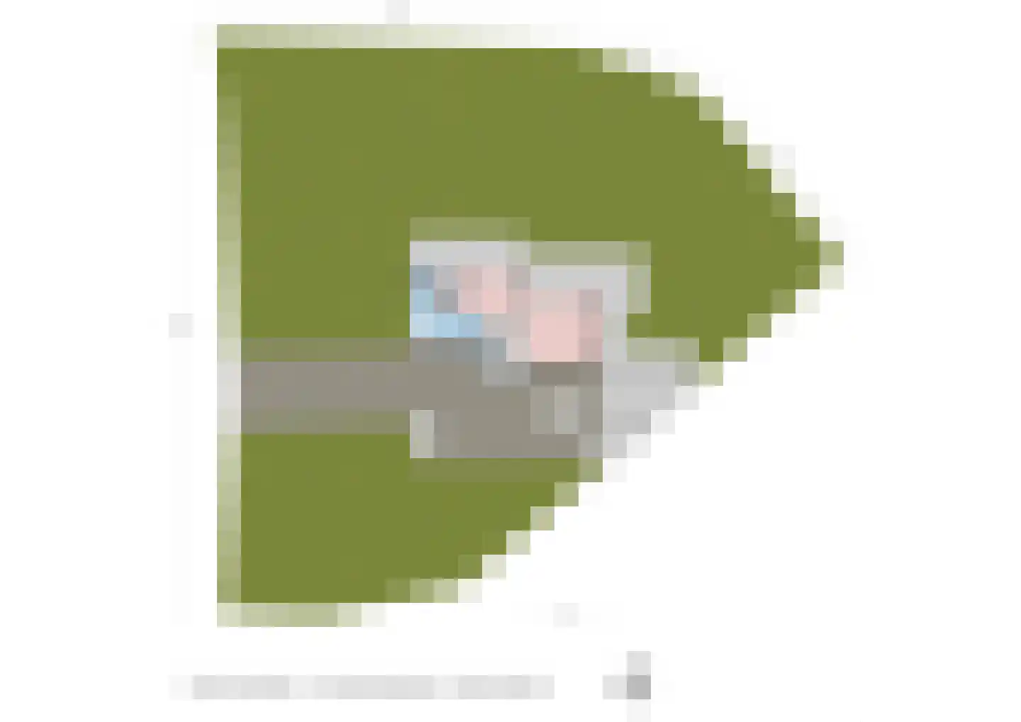 Van Bronckhorstlaan 11 A Wassenaar thumbnail 38