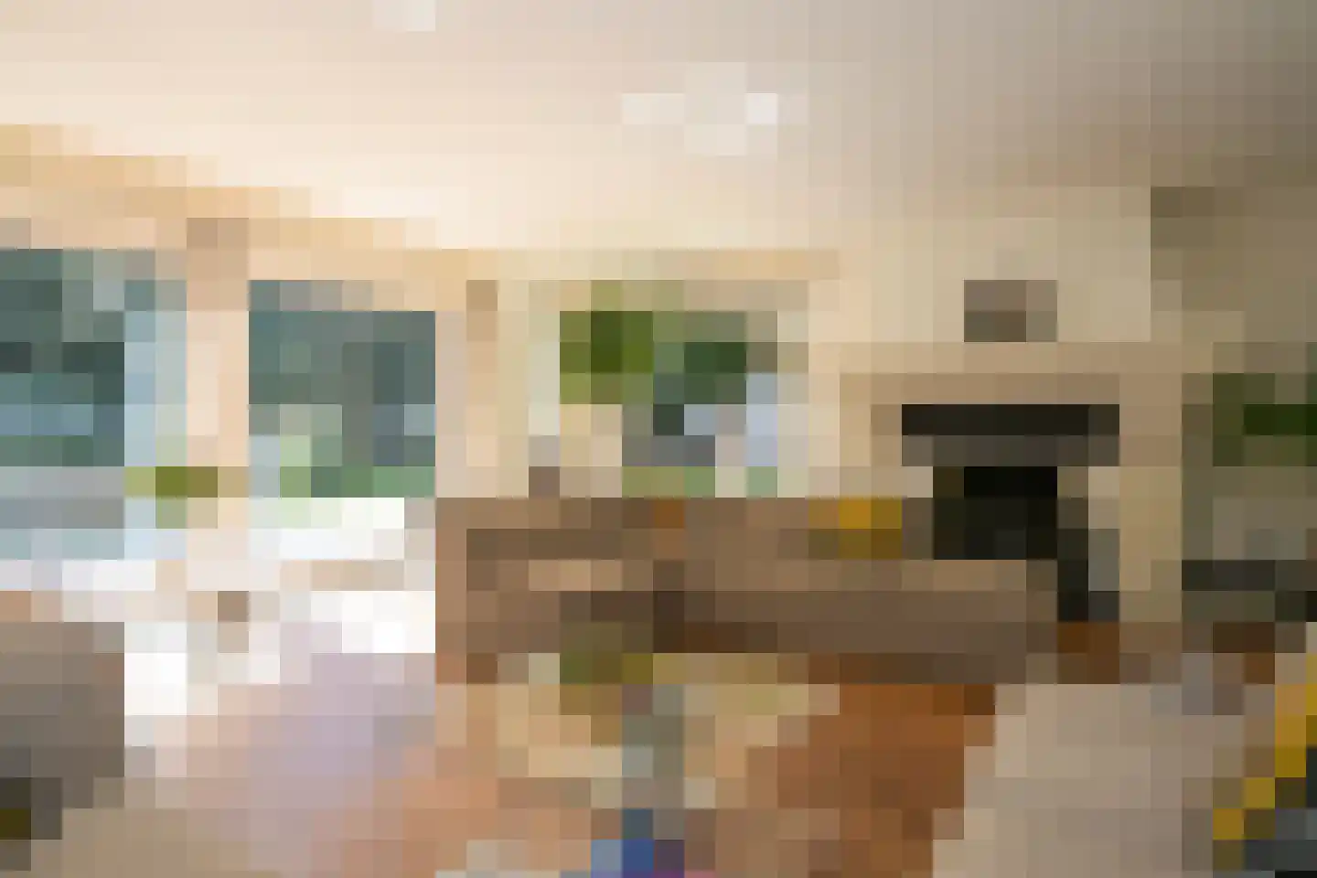 Van Bronckhorstlaan 11 A Wassenaar thumbnail 7