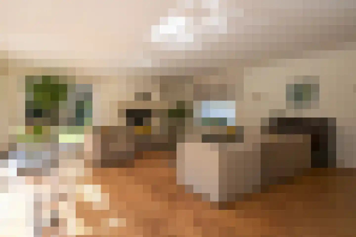 Van Bronckhorstlaan 11 A Wassenaar thumbnail 8