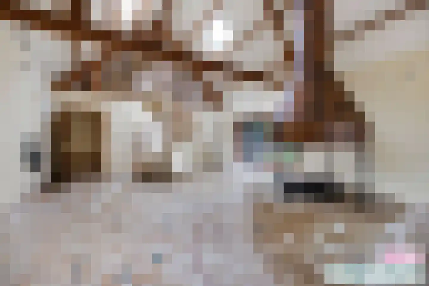 Van Bronckhorstlaan 12 Wassenaar thumbnail 18