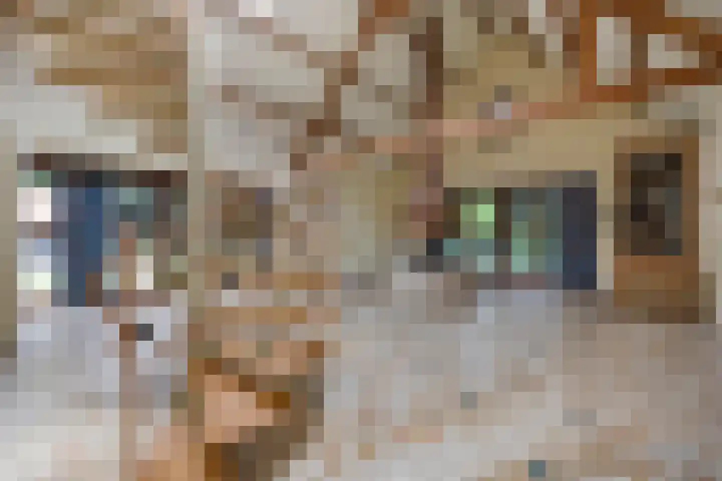 Van Bronckhorstlaan 12 Wassenaar thumbnail 20