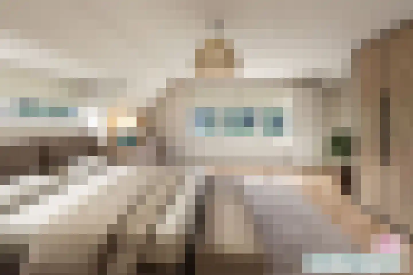 Van Bronckhorstlaan 12 Wassenaar thumbnail 39