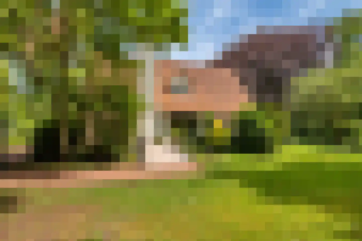 Van Bronckhorstlaan 12 Wassenaar thumbnail 4