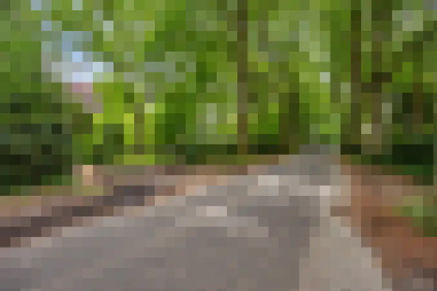 Van Bronckhorstlaan 12 Wassenaar thumbnail 43