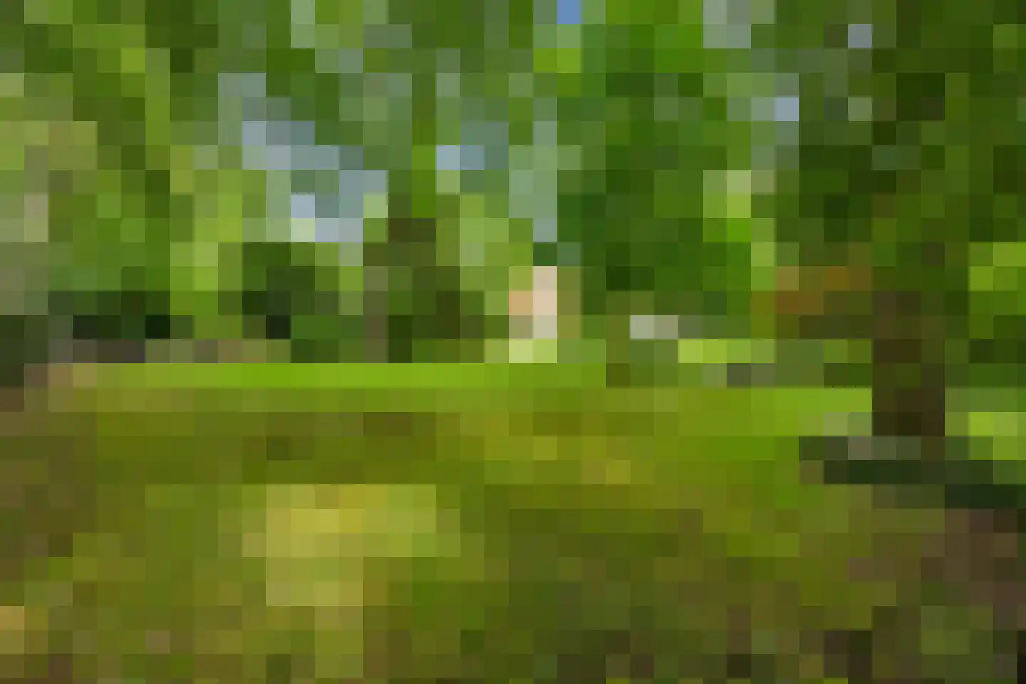Van Bronckhorstlaan 12 Wassenaar thumbnail 45