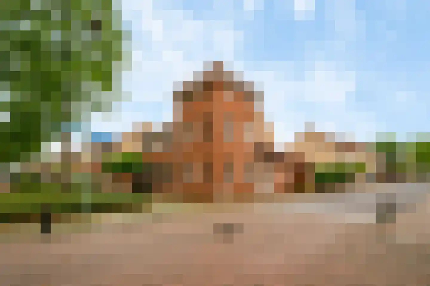 Van Bronckhorststraat 1 Horst thumbnail 10