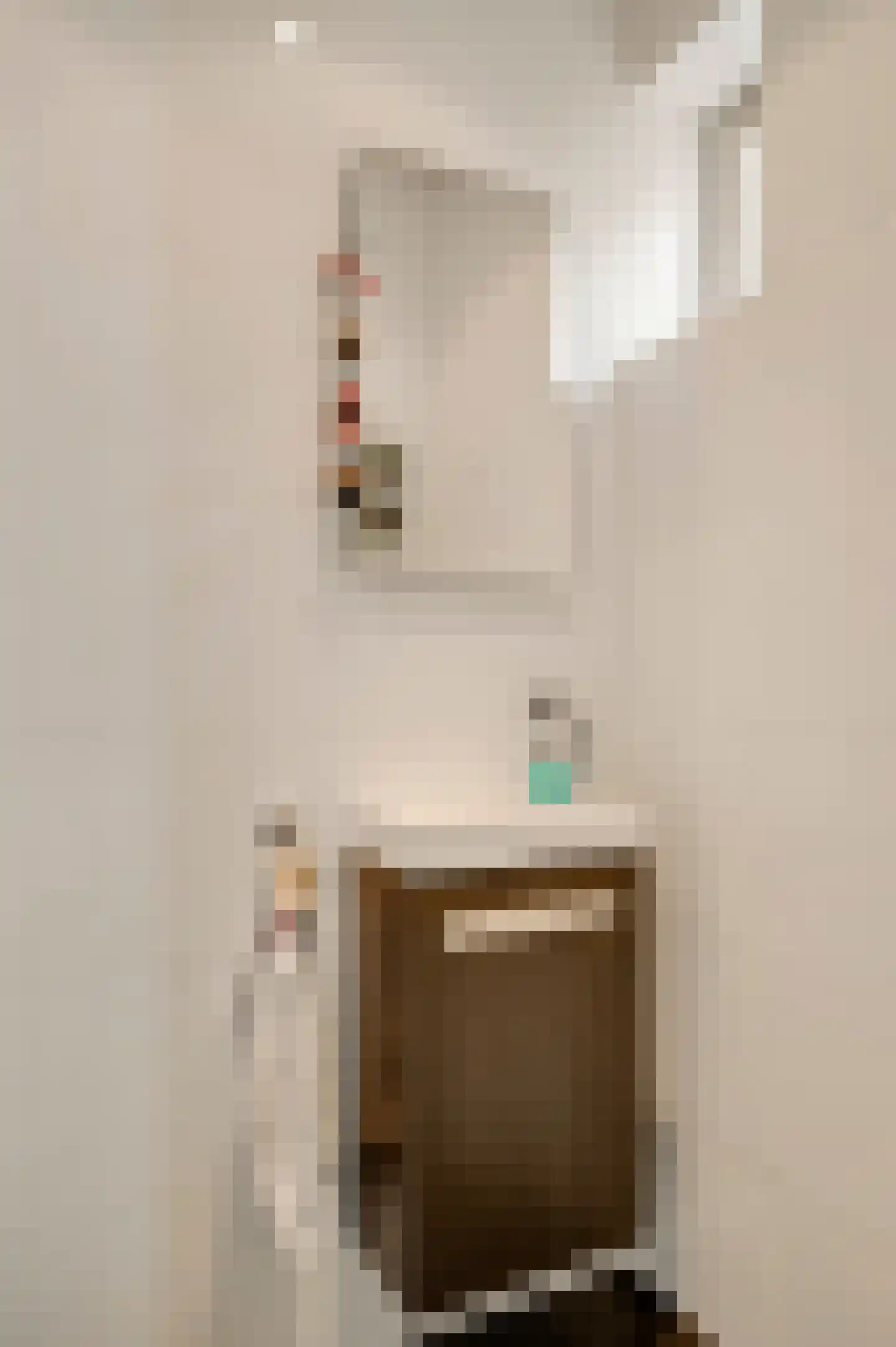 Van Bronckhorststraat 1 Horst thumbnail 18