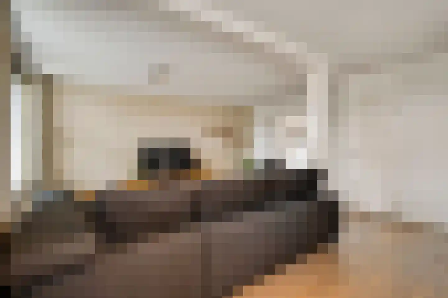 Van Bronckhorststraat 1 Horst thumbnail 21