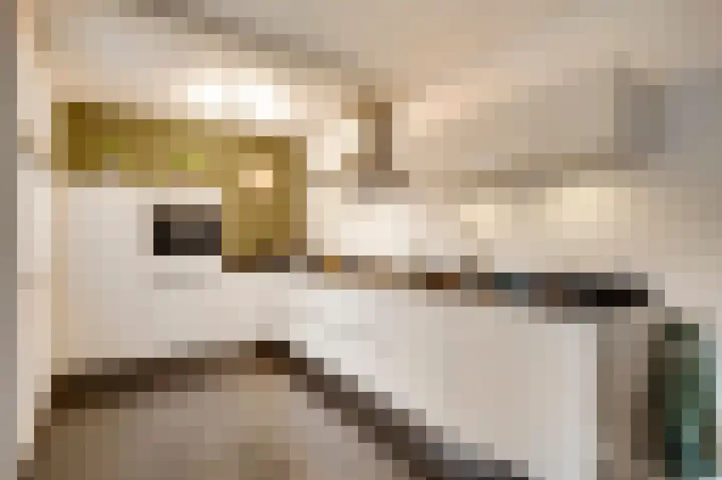 Van Bronckhorststraat 1 Horst thumbnail 27
