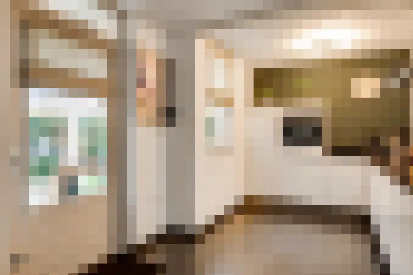 Van Bronckhorststraat 1 Horst thumbnail 28