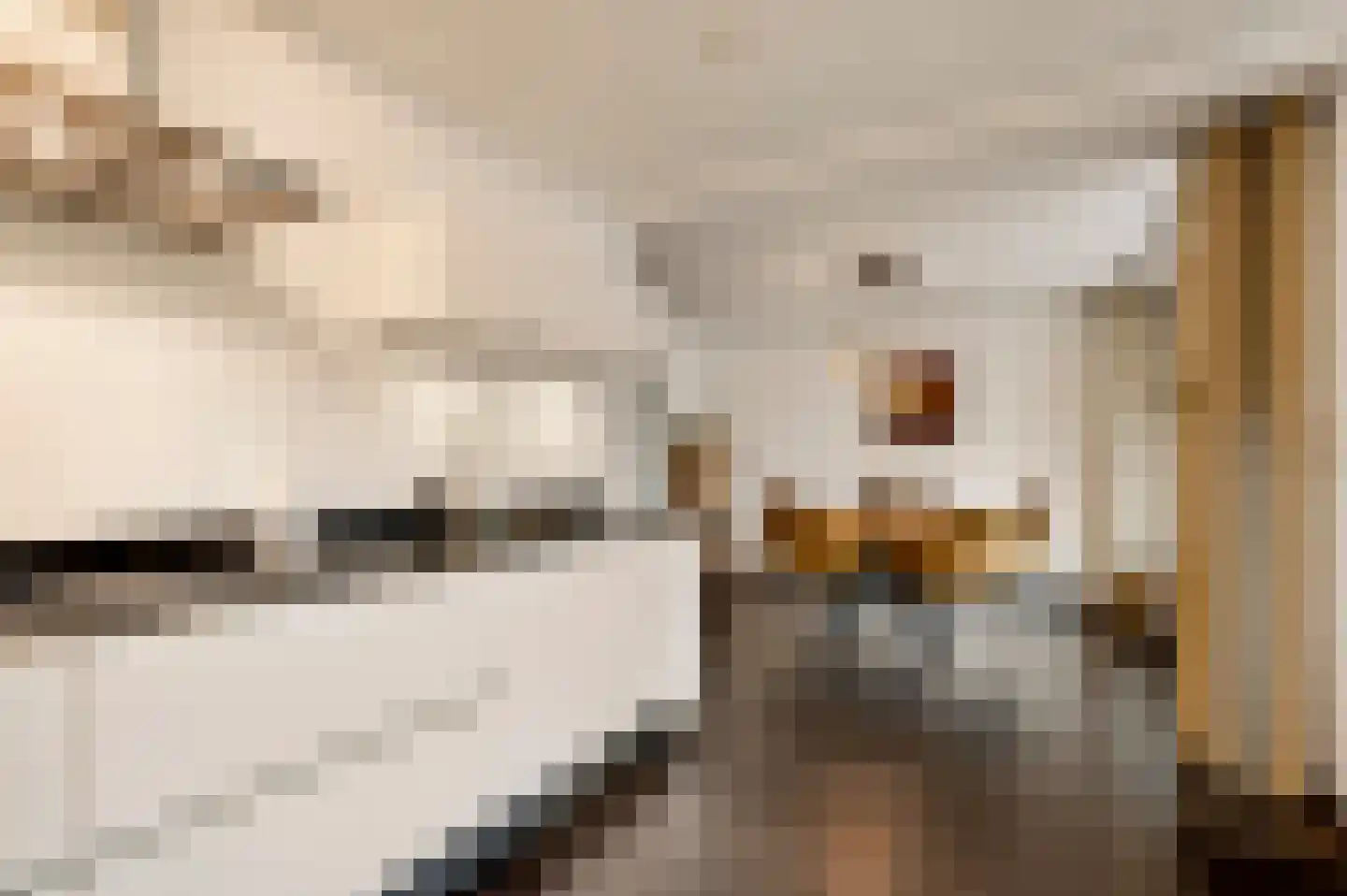Van Bronckhorststraat 1 Horst thumbnail 29