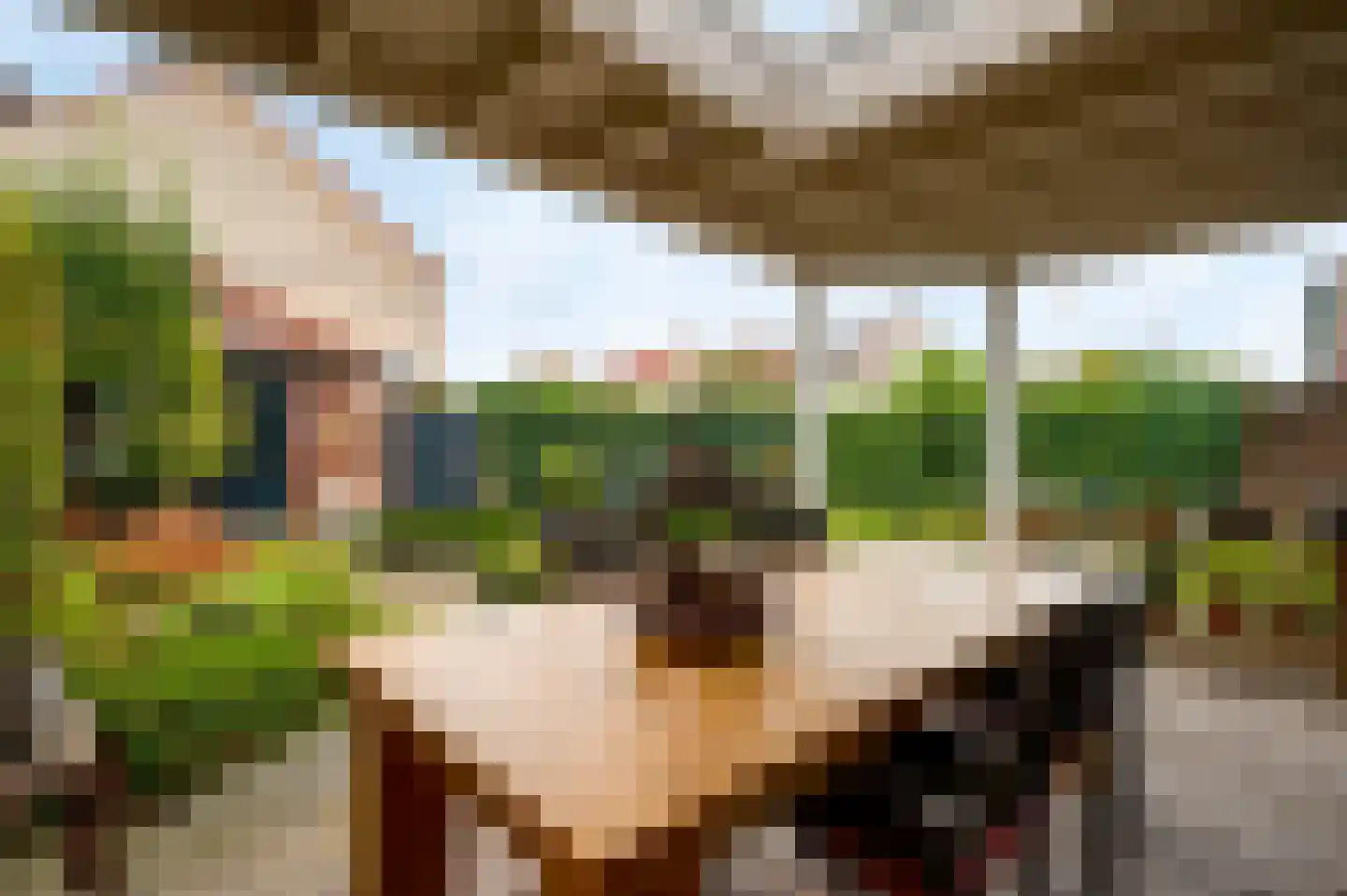 Van Bronckhorststraat 1 Horst thumbnail 31